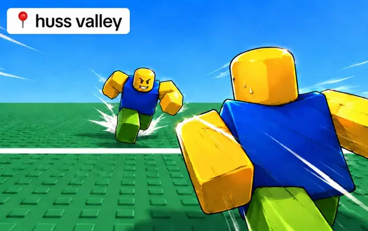 Huss Valley codes