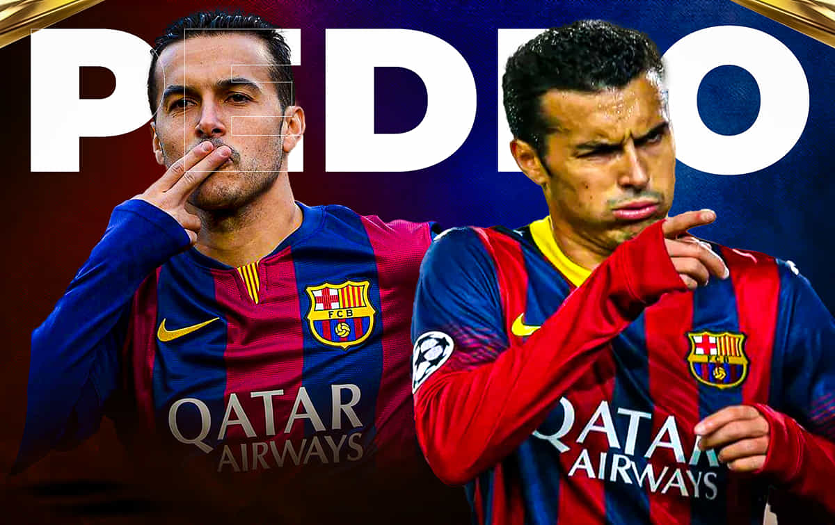 Pedro: List of all trophies & individual awards