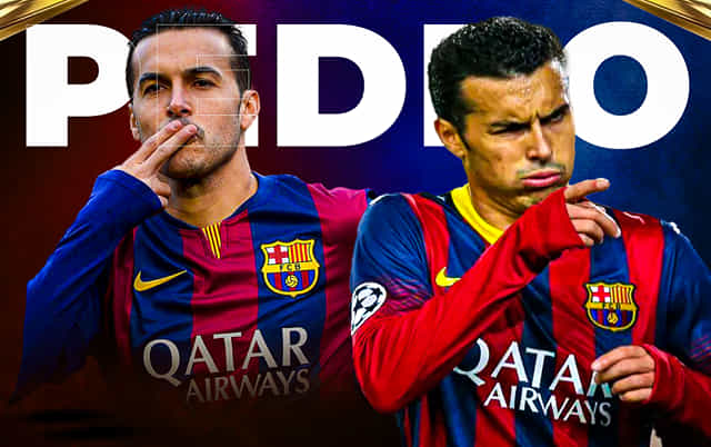 Pedro: List of all trophies & individual awards